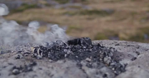 The remains of a small fire rest on a pale rock, with charred wood, ashes, and Stock Footage 337950181