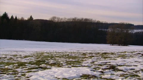 Remains of snow on a meadow Stock Footage 256915523