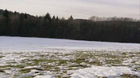 Remains of snow on a meadow,(slide) Stock Footage 256915514