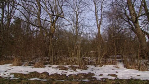 Remains of snow in spring (slide) Stock Footage 256915610