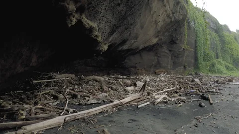 The remains of trees and garbage on the black Bali beach Stock Footage 119361516