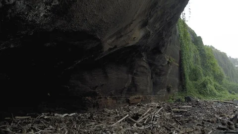 The remains of trees and garbage on the black Bali beach Stock Footage 119361649