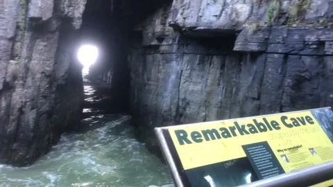 Remarkable Cave near Port Arthur in Tasmania, Australia Stock Footage 331351253