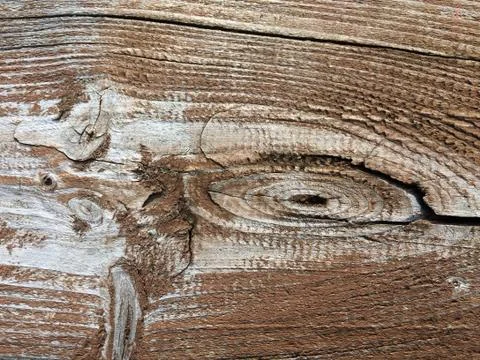 Remarkable old plank Stock Photos