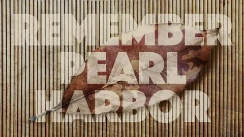 Remember Pearl Harbor Stock Illustration