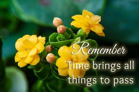 Remember time brings all things to pass text with yellow flower background. Stock Illustration