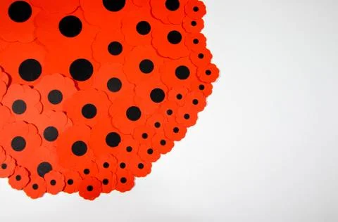 Rememberance Poppies Foto stock
