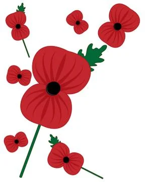 Rememberance poppy Illustrazione stock