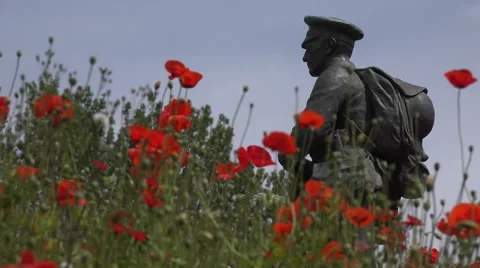 Rememberance Soldiers World War 1 Memorial Statue with red poppies Stock Footage