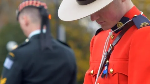 Remembrance Canada Memorial, Lest We Forget, Canada Red Poppy Background Nov 11 Stock Footage 94874908