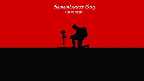 Remembrance day Stock-Footage 331959446