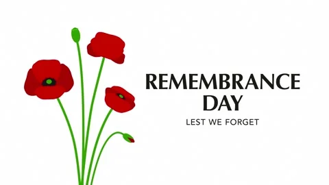 Remembrance Day Lest We Forget Text Animation with Red Poppy Bouquet Stock Footage 343816552