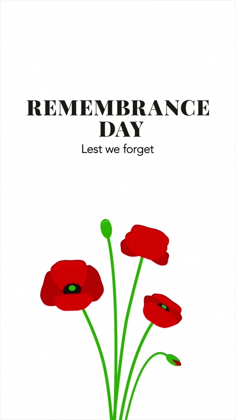 Remembrance Day Lest We Forget Text Animation with Red Poppy Bouquet Stock Footage 343816556