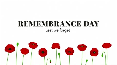 Remembrance Day Lest We Forget Title Animation with Red Poppies Stock Footage 343816561