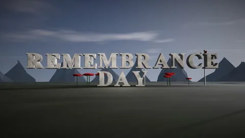 Remembrance Day Pale Granite 3D Letters in a Field of Poppies with Canadian Vídeos de archivo 343371970
