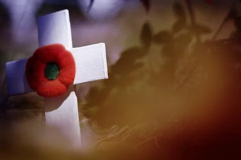 Remembrance Day Stock Photos