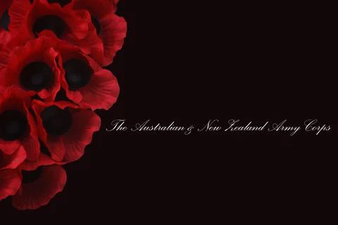 Remembrance Day Foto stock