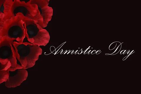 Remembrance Day Stock Photos