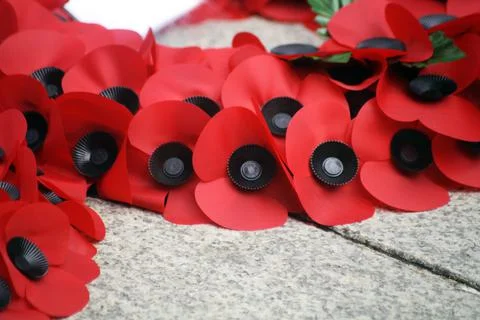 Remembrance day Stock Photos