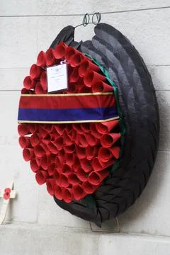 Remembrance Day Stock Photos