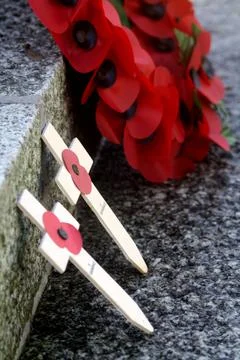Remembrance Day Stock Photos