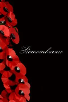 Remembrance Day Stock Photos