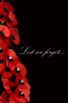 Remembrance Day Stock Photos