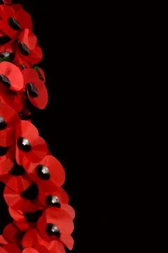 Remembrance day Stock Photos