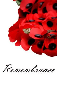 Remembrance Day Stock Photos