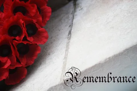 Remembrance Day Stock Photos