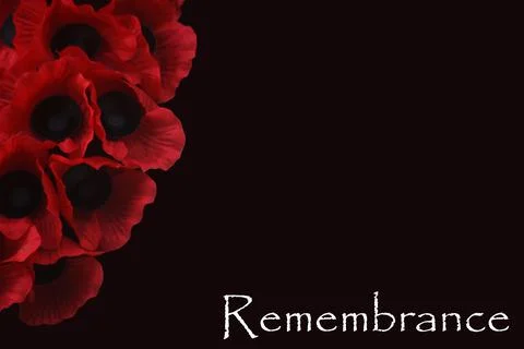Remembrance Day Stock Photos