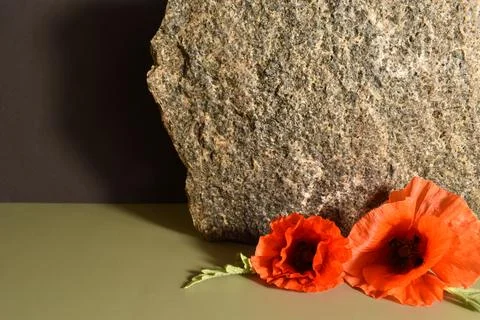 Remembrance day Stock Photos