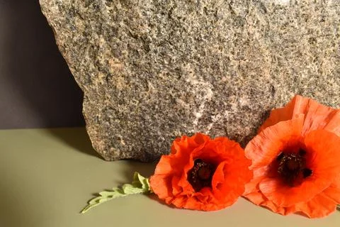 Remembrance day Stock Photos