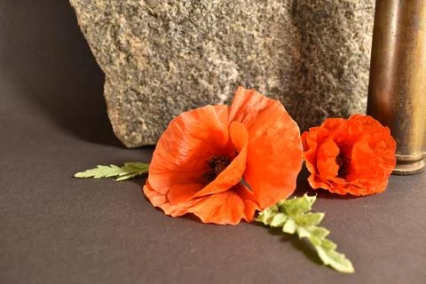 Remembrance day Stock Photos
