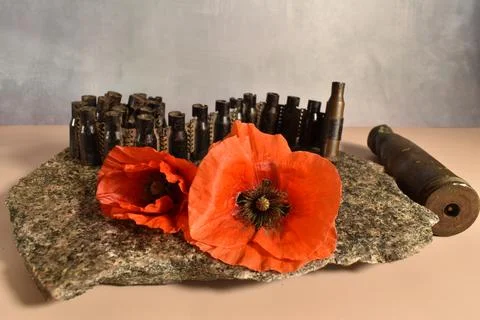 Remembrance day Stock Photos