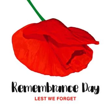 Remembrance Day vector card. Lest We forget. Realistic Red Poppy flower Stock Illustration