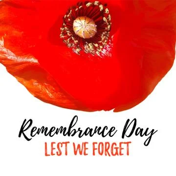Remembrance Day vector card. Lest We forget. Illustrazione stock