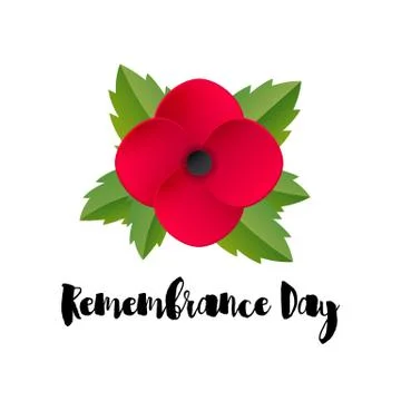 Remembrance Day vector card. Red Poppy flower. Stock Illustration