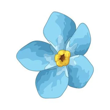 Remembrance flower illustration Stock Illustration