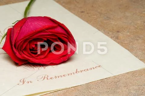 In Remembrance Stock Photos
