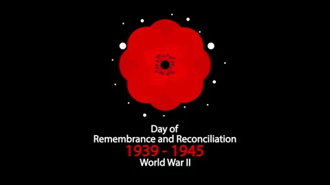 Remembrance reconciliation world war red poppy Stock Footage 334336987