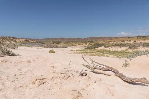 Remians of a dead tree in Cape Range National Park, Western Australia, Australia Stock Photos