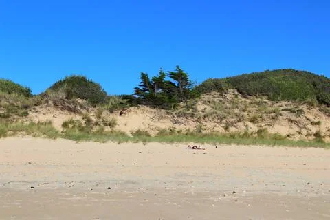 Remigeasse Beach on Île d'Oléron Stock Photos