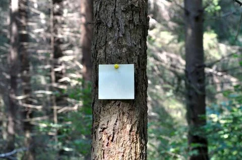 Reminder notes Stock Photos