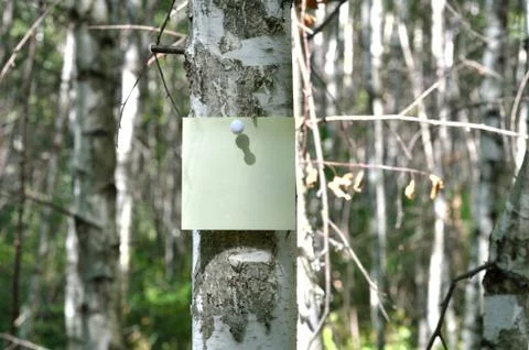 Reminder notes Stock Photos