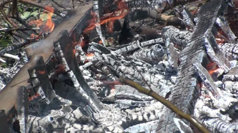 Remnants of fire Видео 23405328