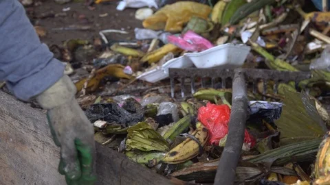 Remnants of fruit and plastic. Asian dump. manual sorting of waste. tropics Stock Footage 127046812