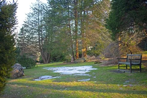 Remnants of Winter in David C. Shaw Arboretum Stock Photos
