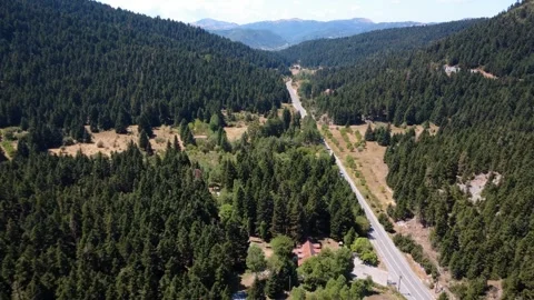Remote alpine valley road with dense trees and distant ridge under clear sky Stock Footage 326353272