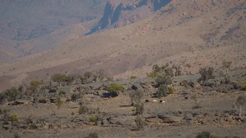 Remote, Arid Mountain Landscape in the Hajar Mountains near Wadi Bani Khalid, Om Stock Footage 324859155